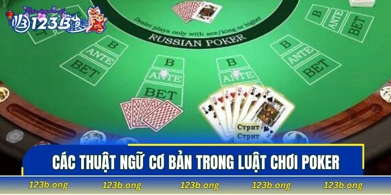 Các thuật ngữ cơ bản trong luật chơi Poker