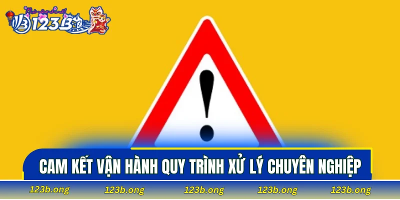 Cam kết vận hành quy trình xử lý chuyên nghiệp