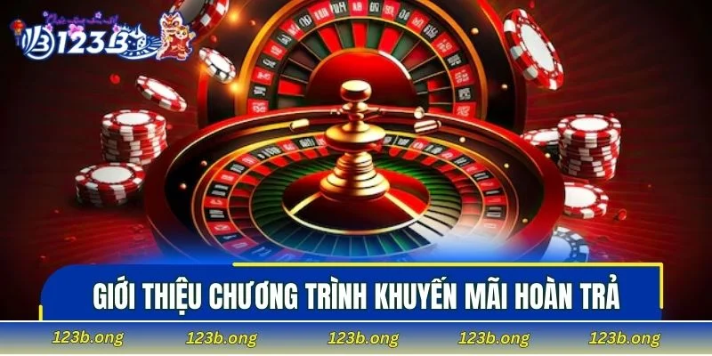 Giới thiệu chương trình khuyến mãi hoàn trả