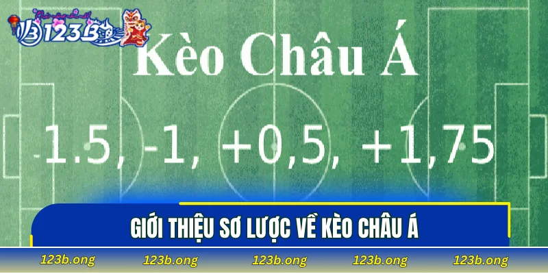 Giới thiệu sơ lược về kèo châu Á