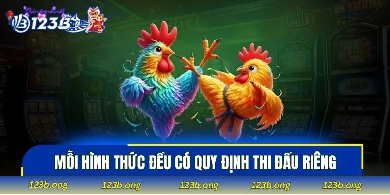 Mỗi hình thức đều có quy định thi đấu riêng