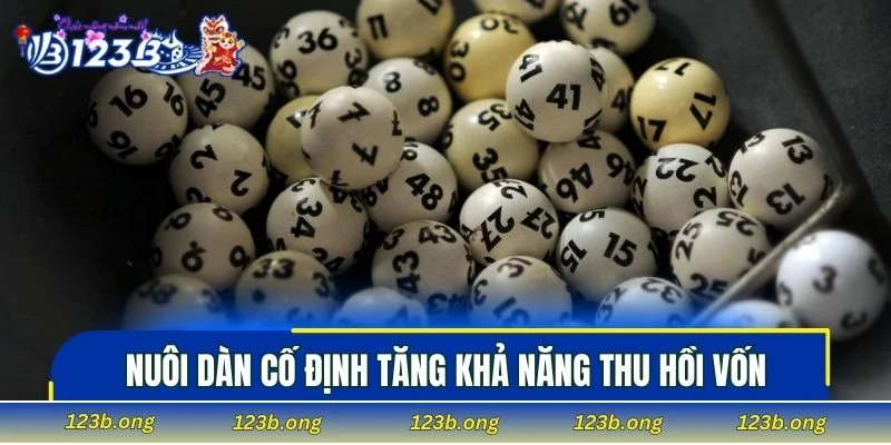 Nuôi dàn cố định tăng khả năng thu hồi vốn