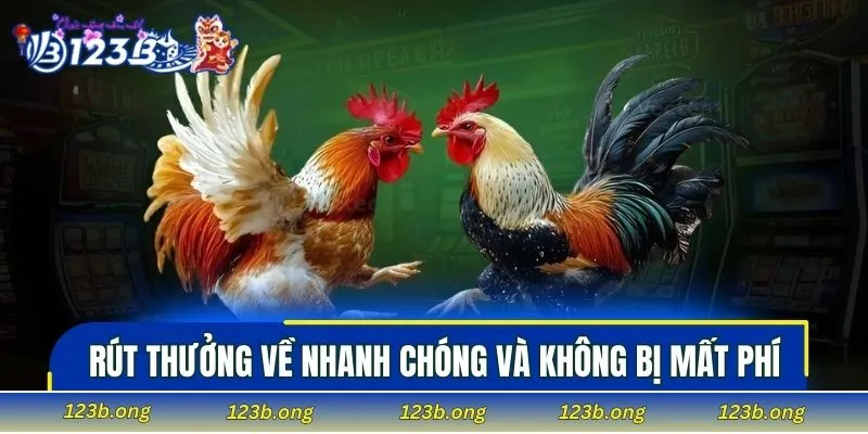 Rút thưởng về nhanh chóng và không bị mất phí